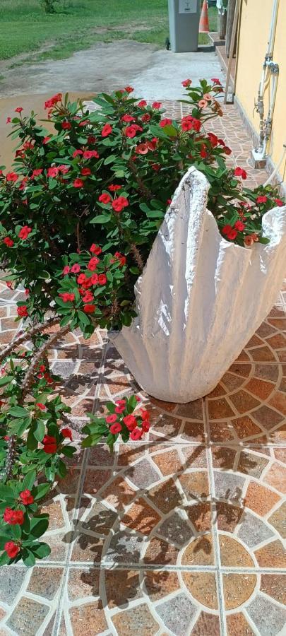 Gite Poz Kreyol Grand Anse Ngoại thất bức ảnh