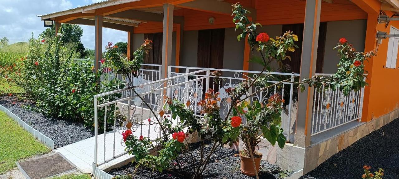 Gite Poz Kreyol Grand Anse Ngoại thất bức ảnh