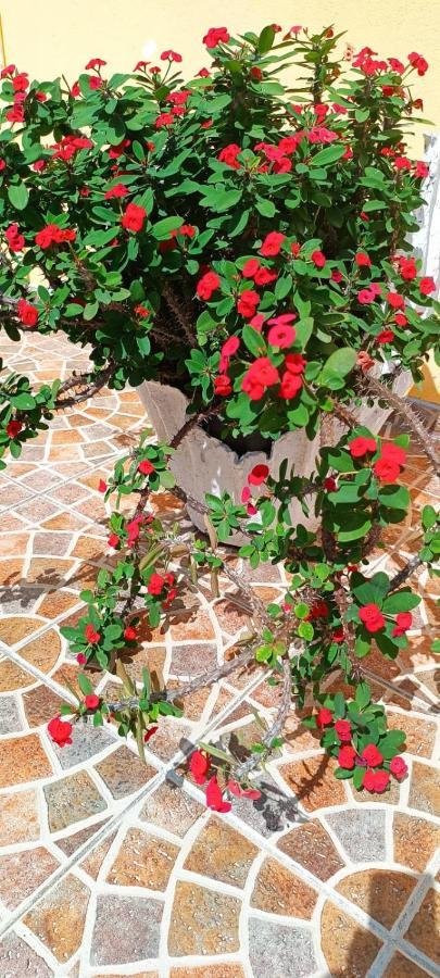 Gite Poz Kreyol Grand Anse Ngoại thất bức ảnh
