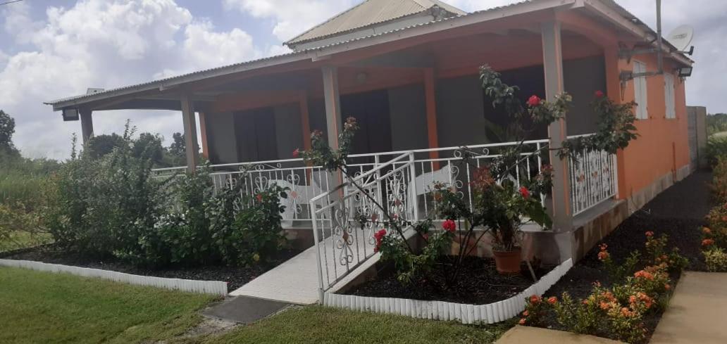 Gite Poz Kreyol Grand Anse Ngoại thất bức ảnh