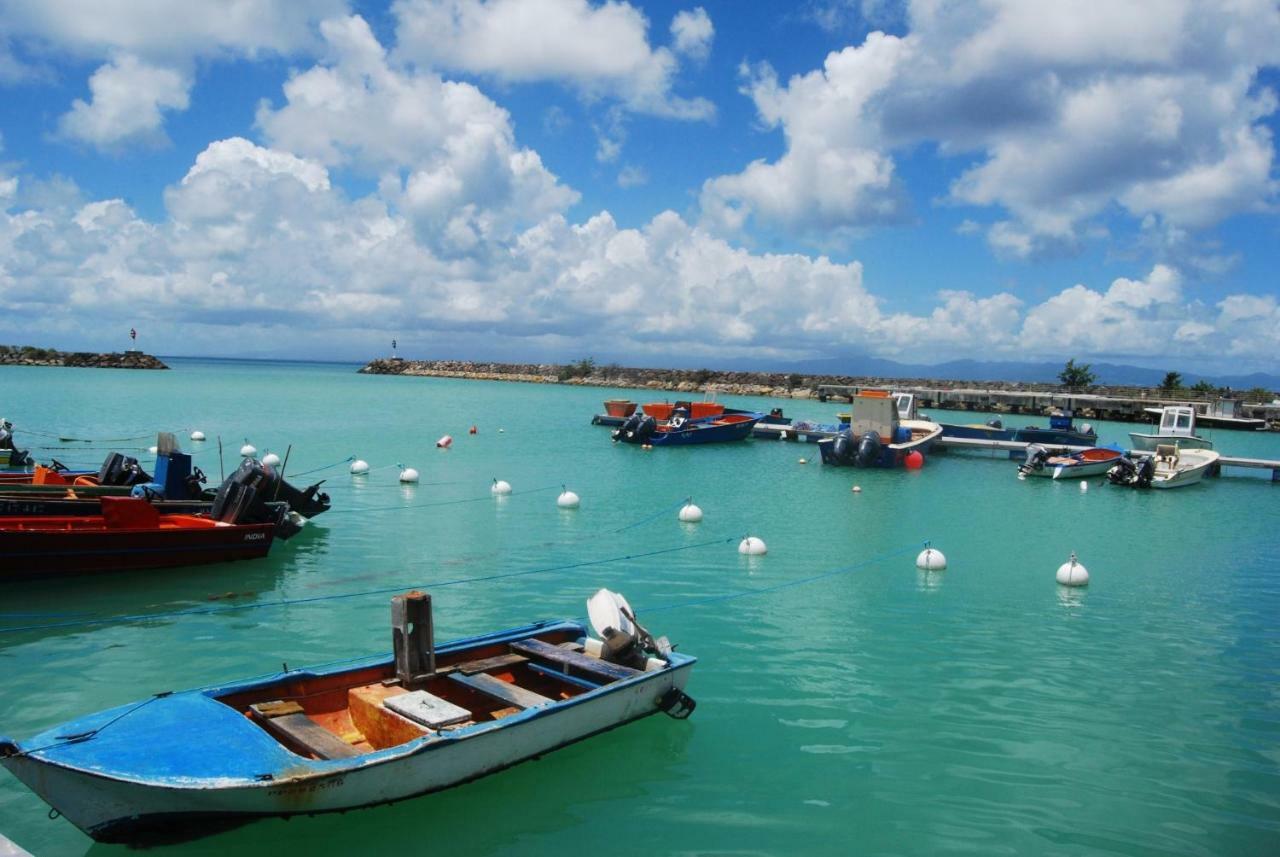Gite Poz Kreyol Grand Anse Ngoại thất bức ảnh